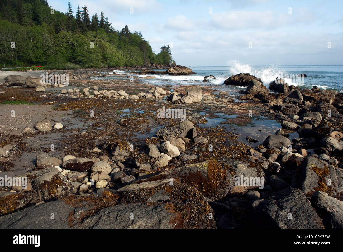 Coastline Landscape - near Neah Bay, Washington, USA Stock Photo