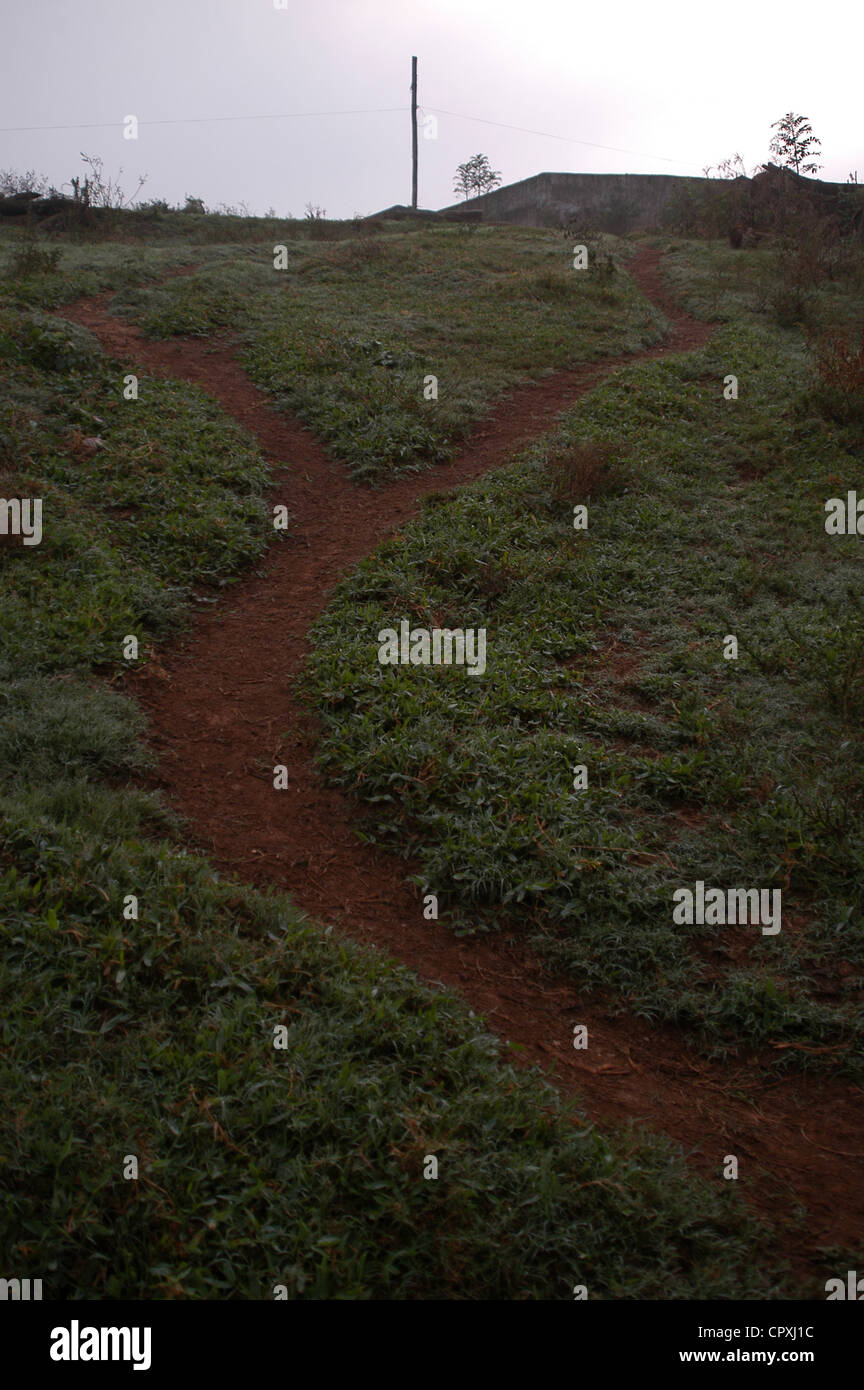 Pathways in the fields. Stock Photo