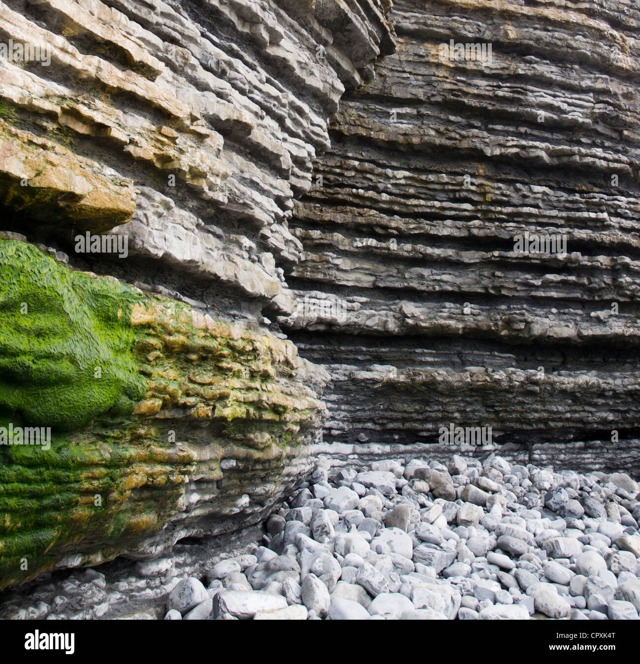 My Image 27