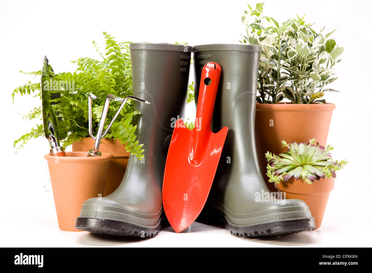 Flowers and garden tools, gardening equipment Stock Photo Alamy