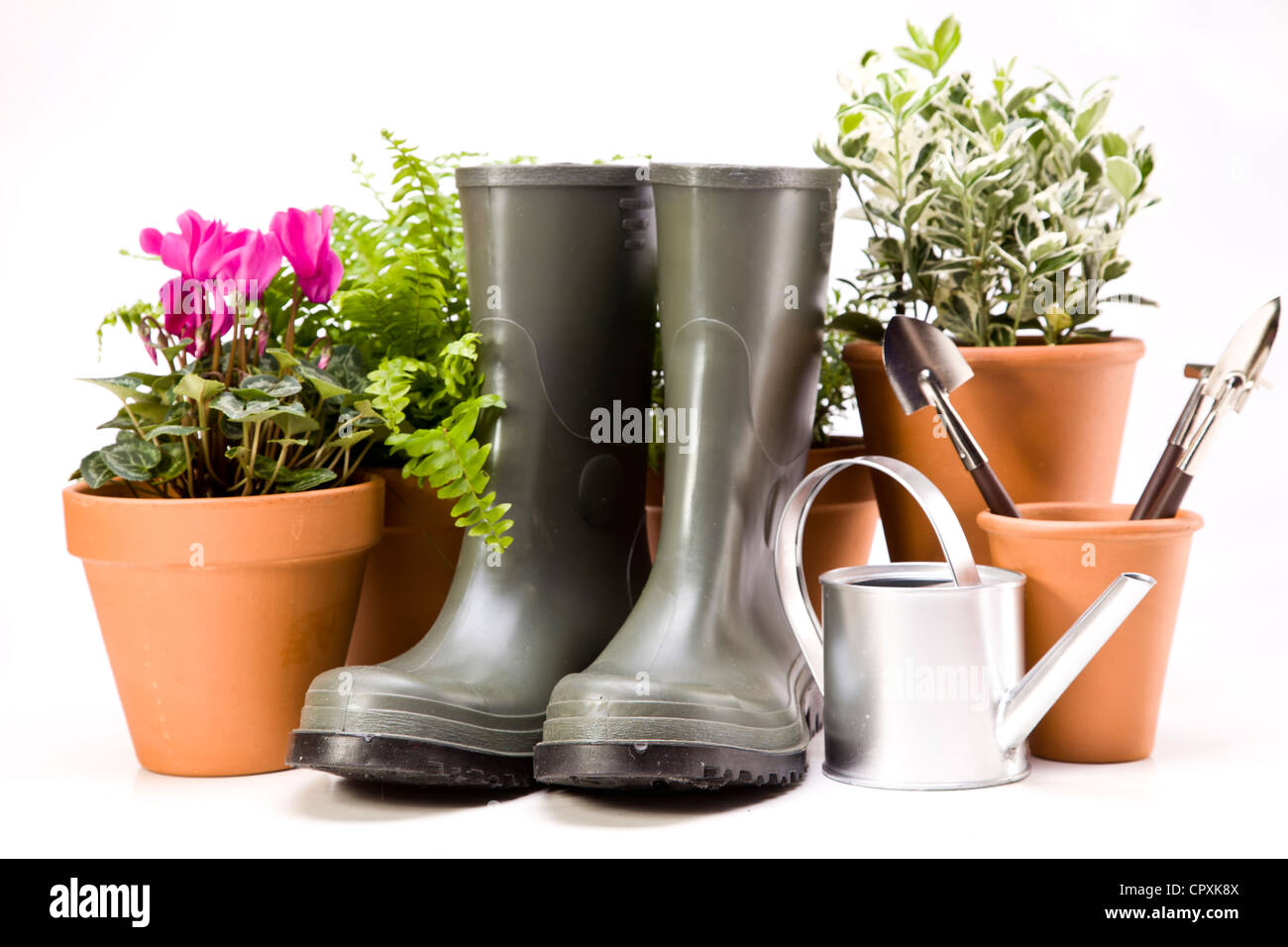 Flowers and garden tools, gardening equipment Stock Photo Alamy