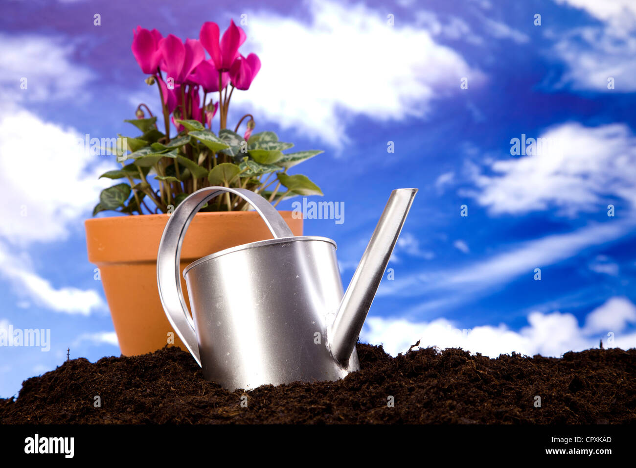 Flowers and garden tools, gardening equipment Stock Photo Alamy