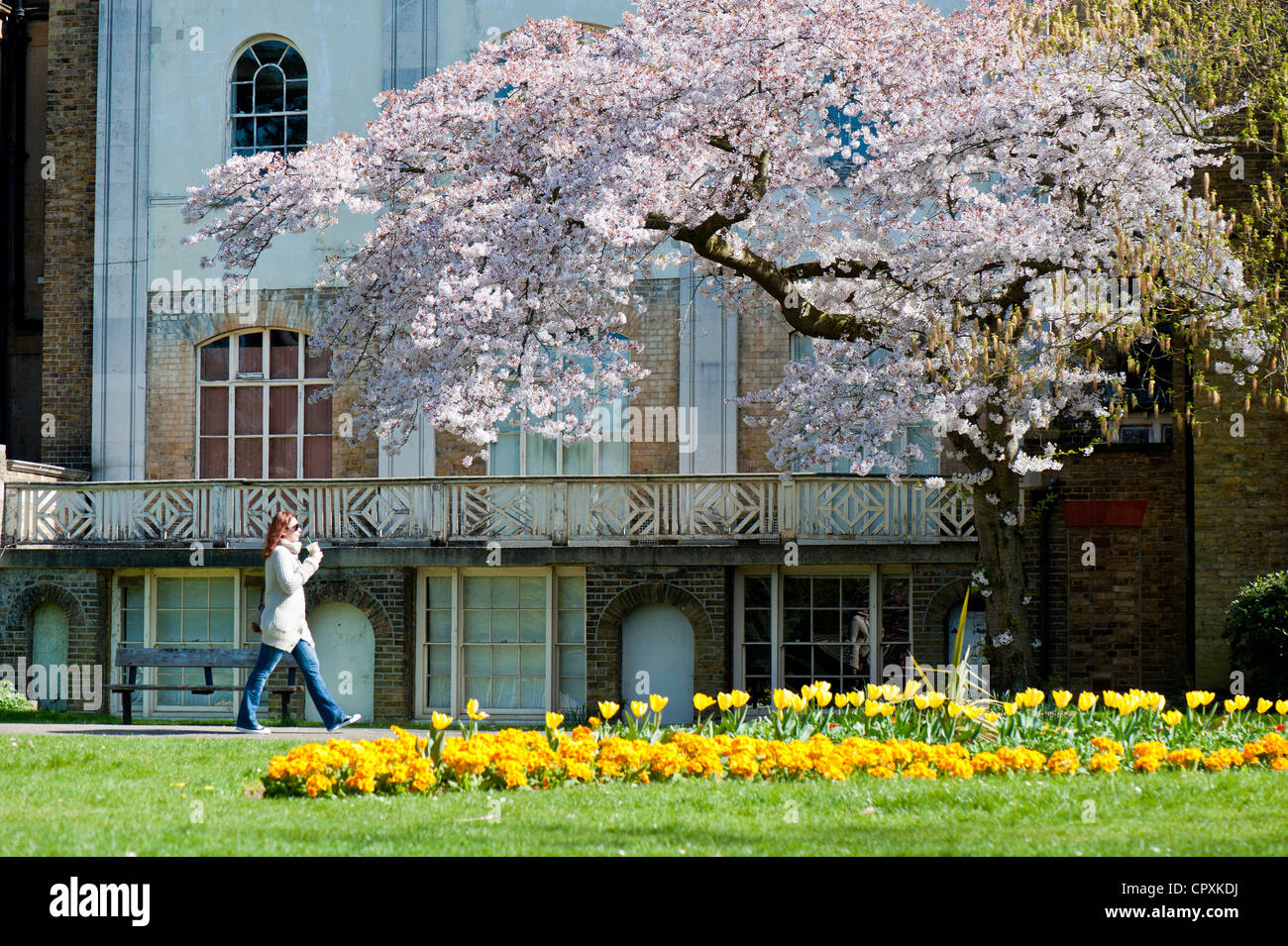 Walpole Park, Ealing, W5, London, United Kingdom Stock Photo Alamy