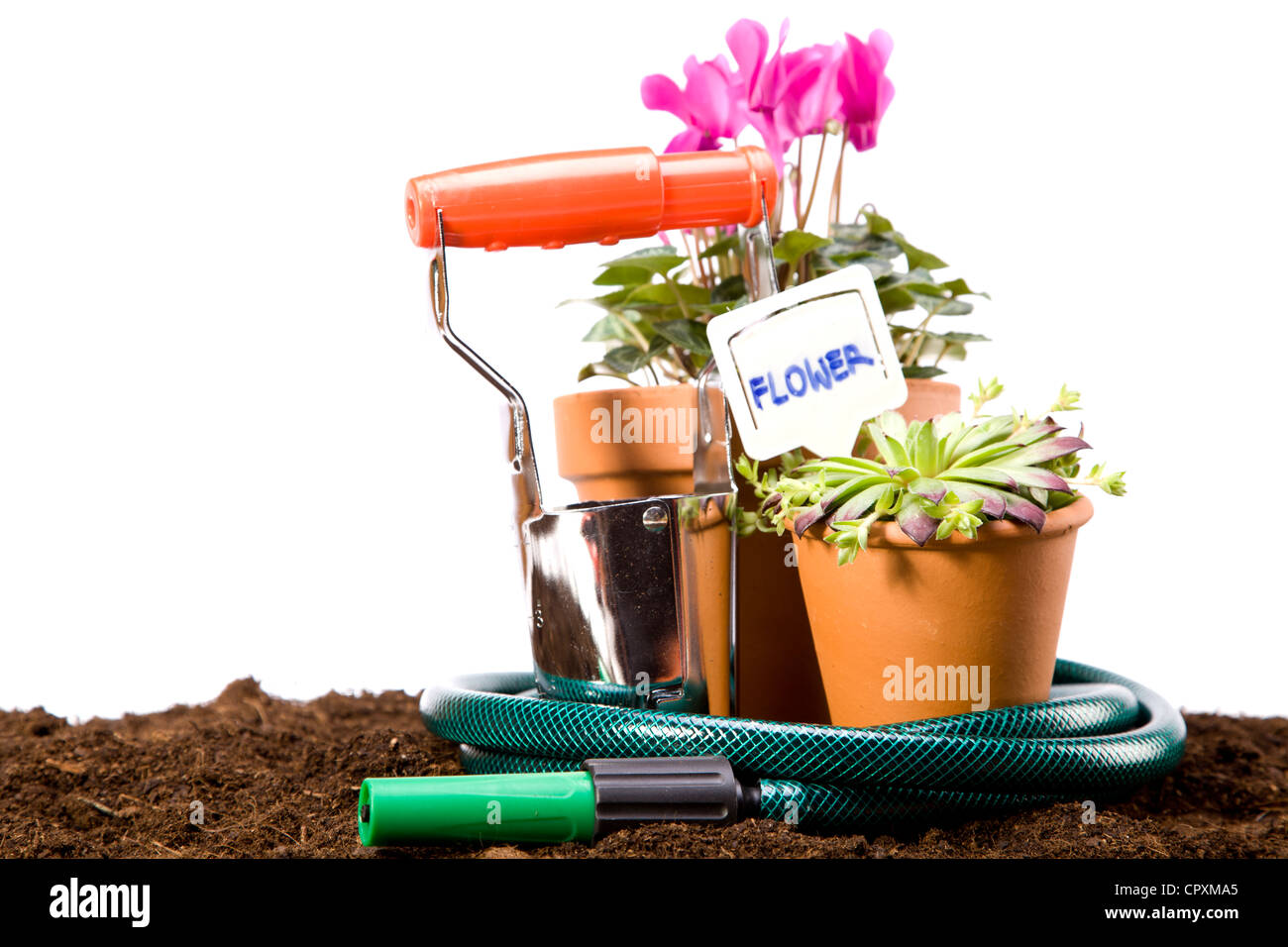 Flowers and garden tools, gardening equipment Stock Photo Alamy
