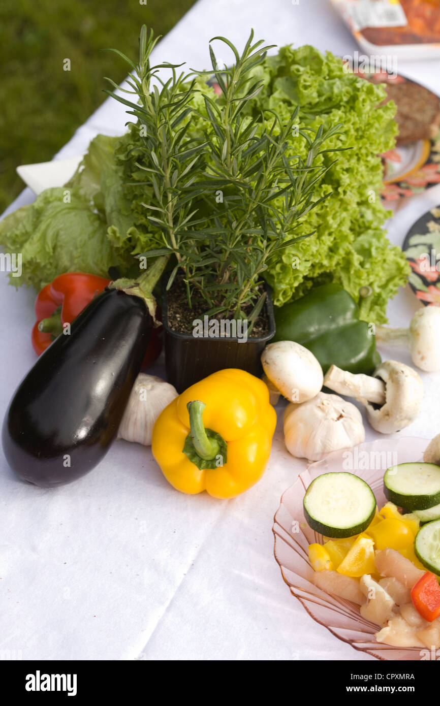 Grill garden green grass good hi-res stock photography and images - Alamy