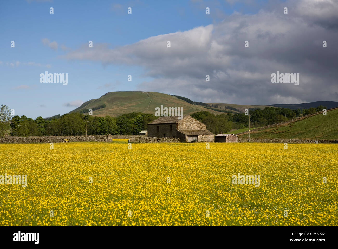 The meadowlands near Sedbusk and Nappa Scar of the North Yorkshire