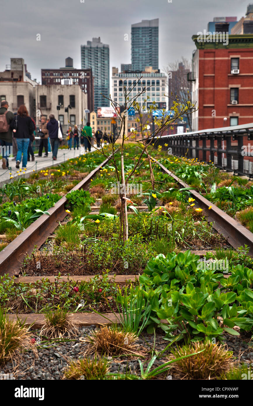 High Line park built on disused elevated railroad in Manhattan from Bryant Park, New York City Stock Photo