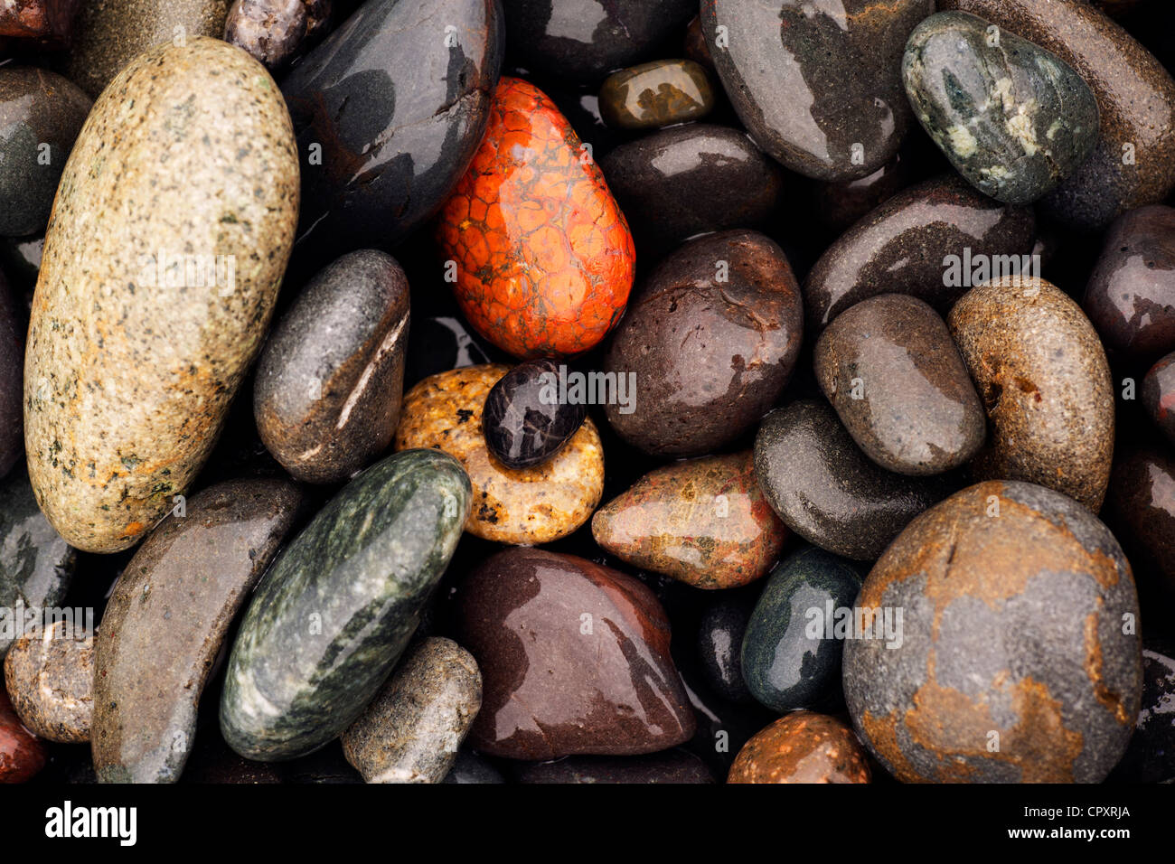 Colorful Stones on Rialto Beach, near La Push, Washington USA Stock Photo