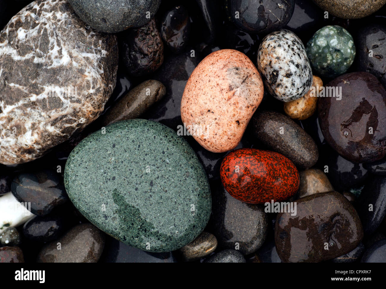 Colorful Stones on Rialto Beach, near La Push, Washington USA Stock Photo