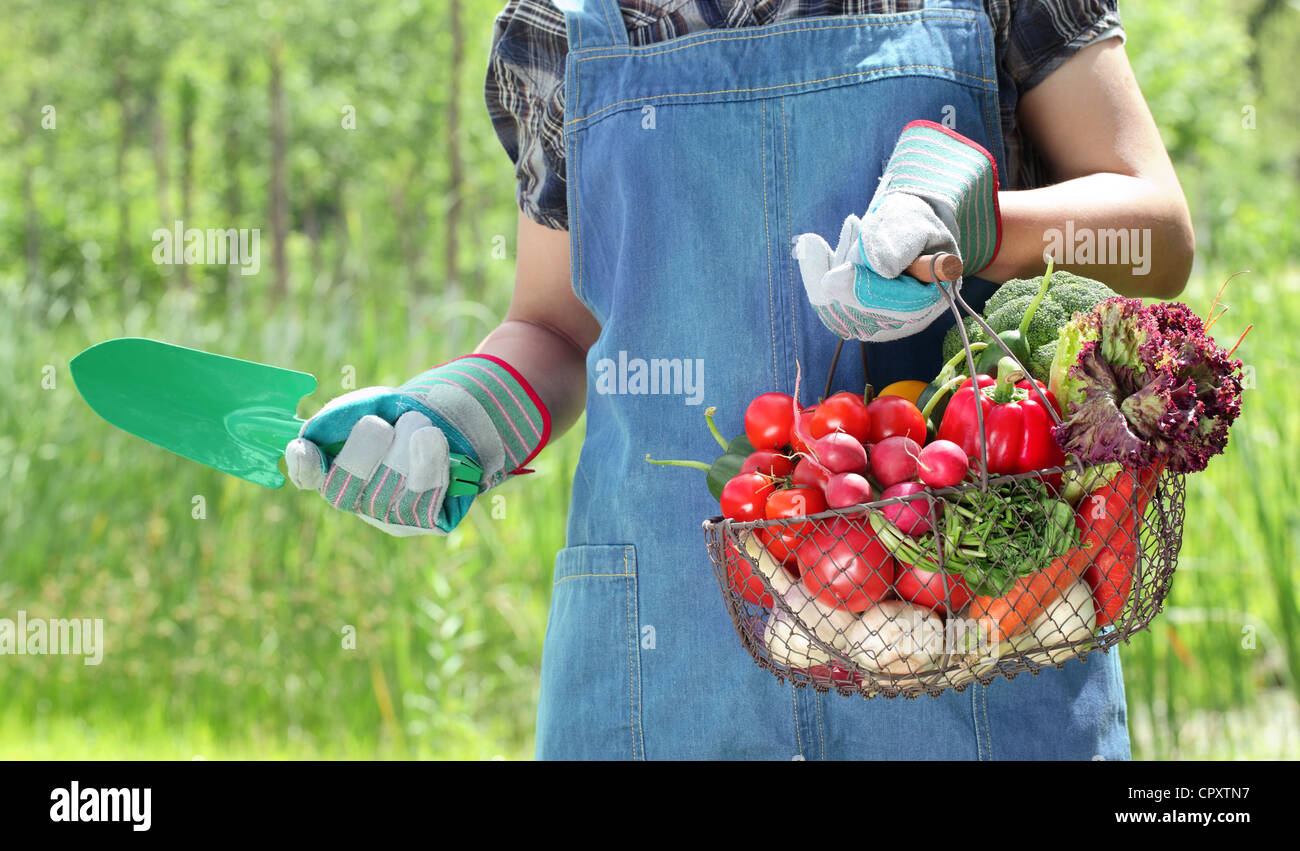 Women hands holding a basket full of vegetables in the garden Stock ...