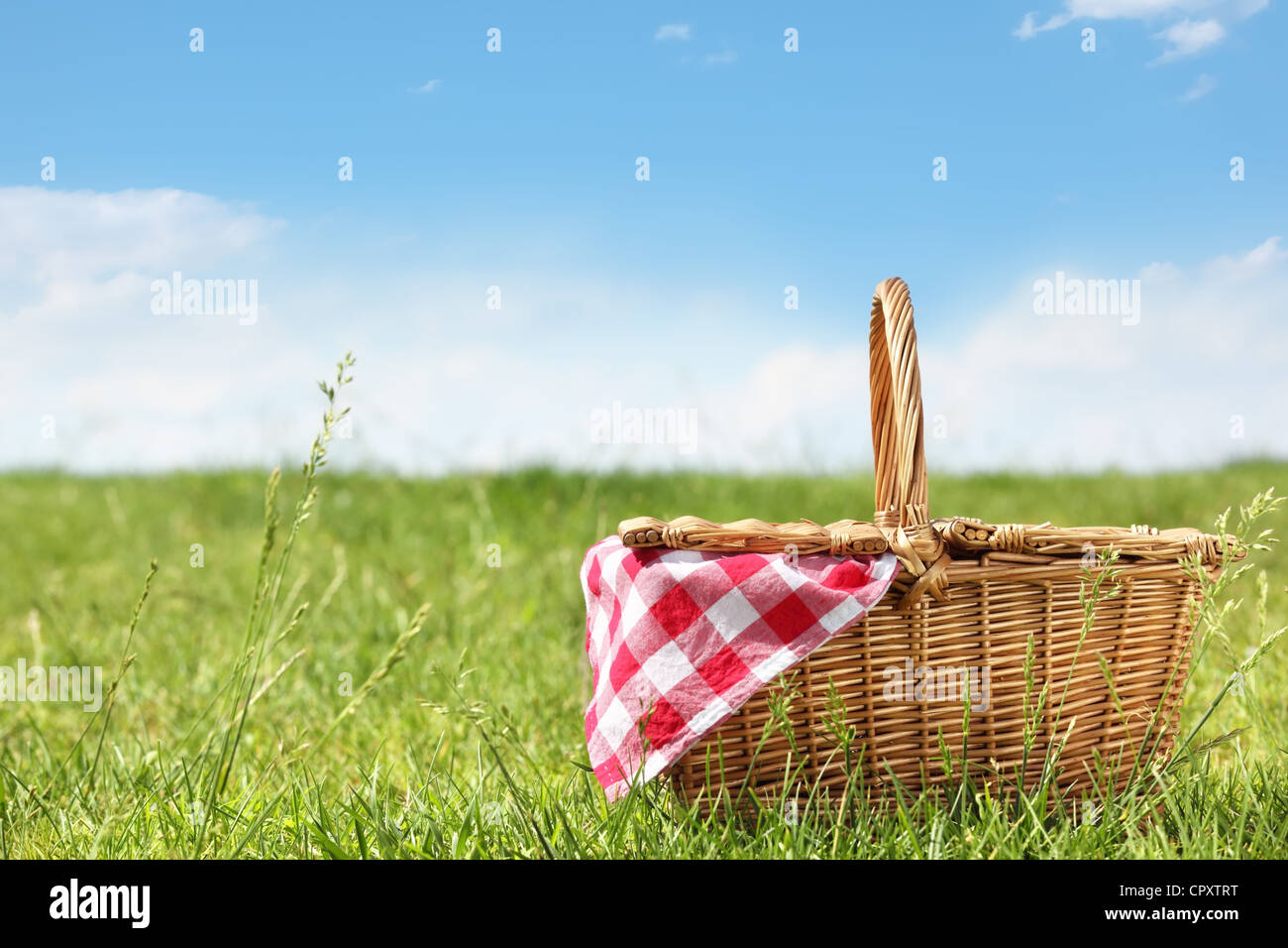 Outdoor picnic at sunny day Stock Photo