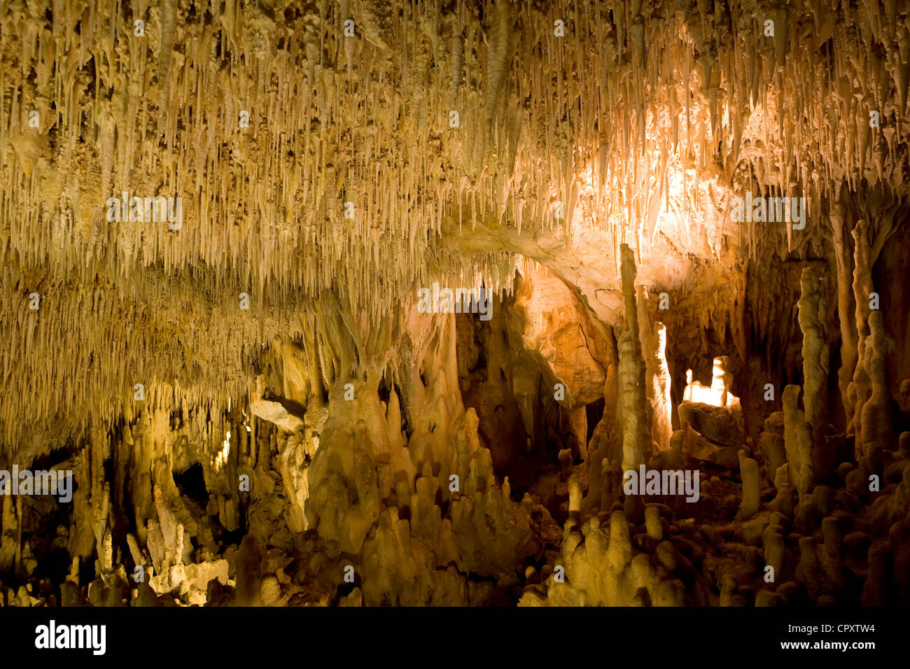 France, Dordogne, Perigord Vert, Villars, concretions in the caves Stock Photo