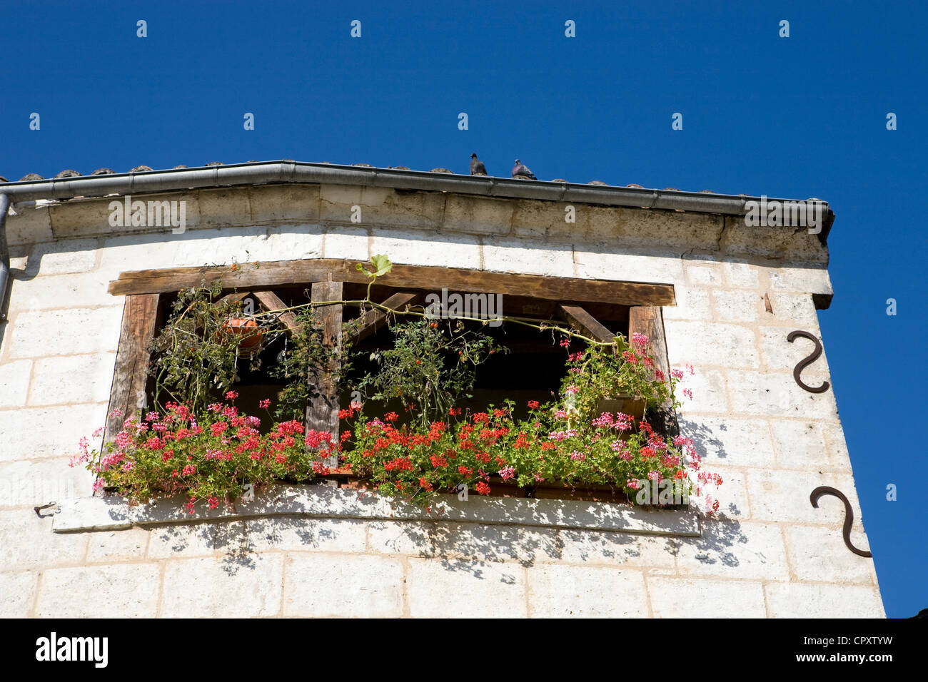 France, Dordogne, Perigord Blanc, Perigueux Stock Photo - Alamy