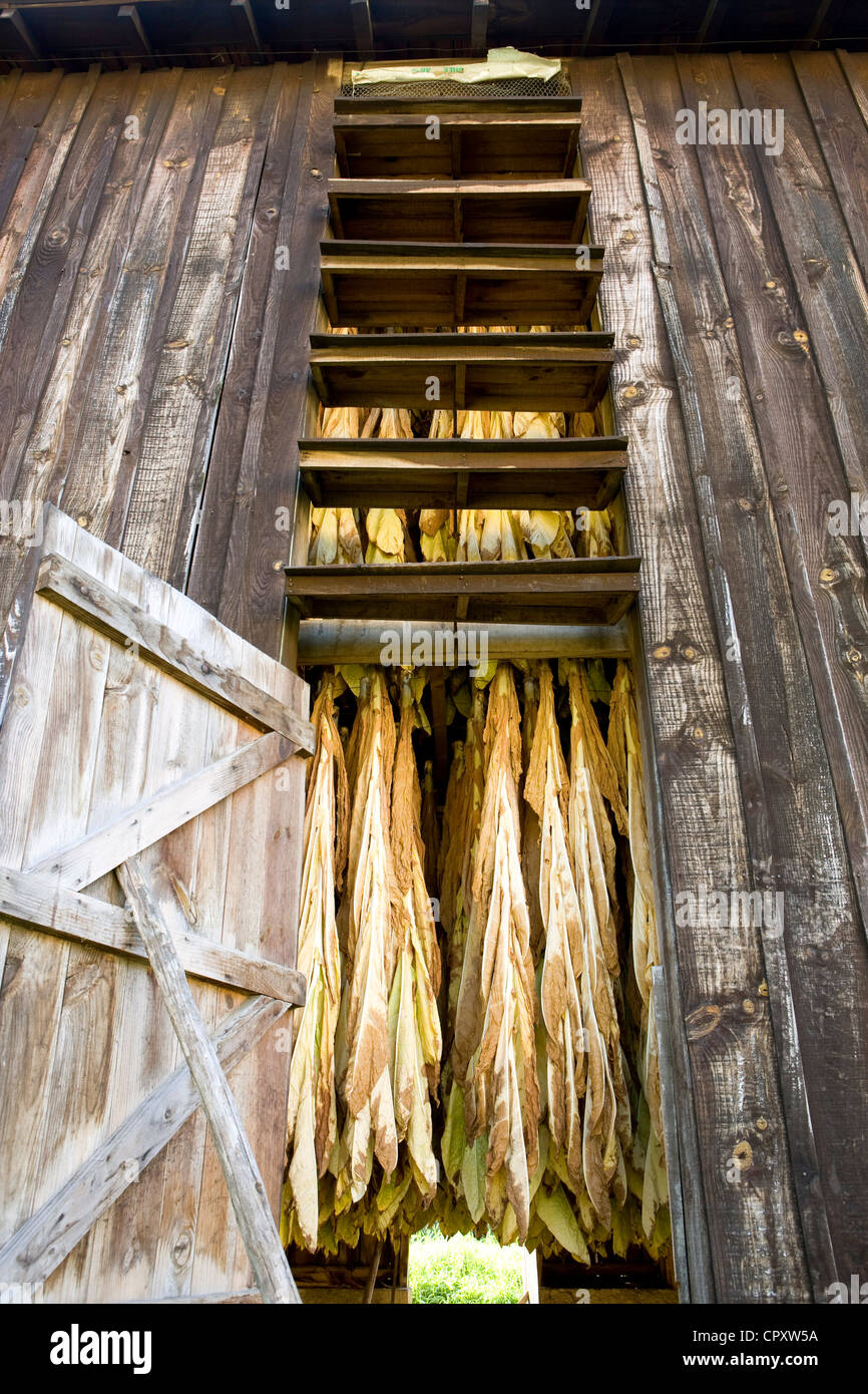 tobacco drying kiln Tobacco kiln hi-res stock photography and images
