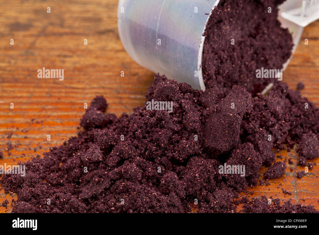 a measuring cup of organic freeze-dried maqui fruit (Aristotelia Chilensis) powder on a grunge wooden background Stock Photo