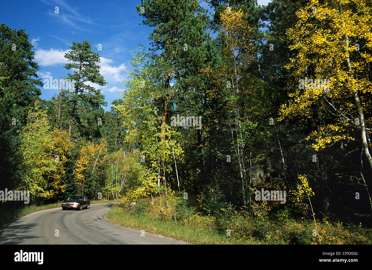 black hills national forest south dakota
