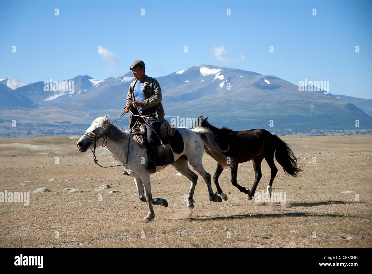 Mongolia, Bayan Olgii Region, border with the Kazakhstan, Altai Tavan Bogd National Park, Kazakh rider Stock Photo