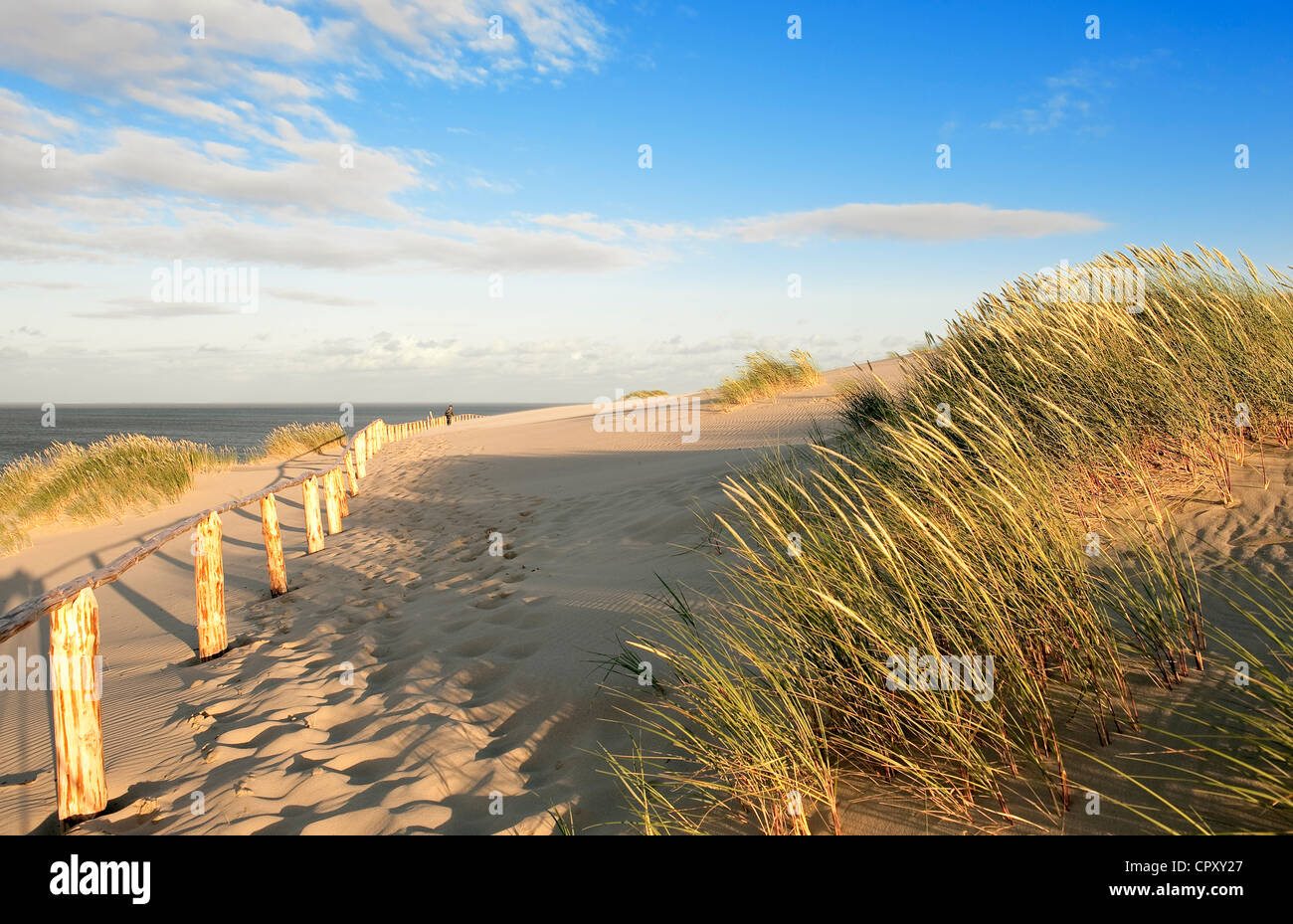 Lithuania (Baltic States) Klaipeda County Curonian Spit national park sand dune of Parnidis listed as World Heritage by UNESCO Stock Photo