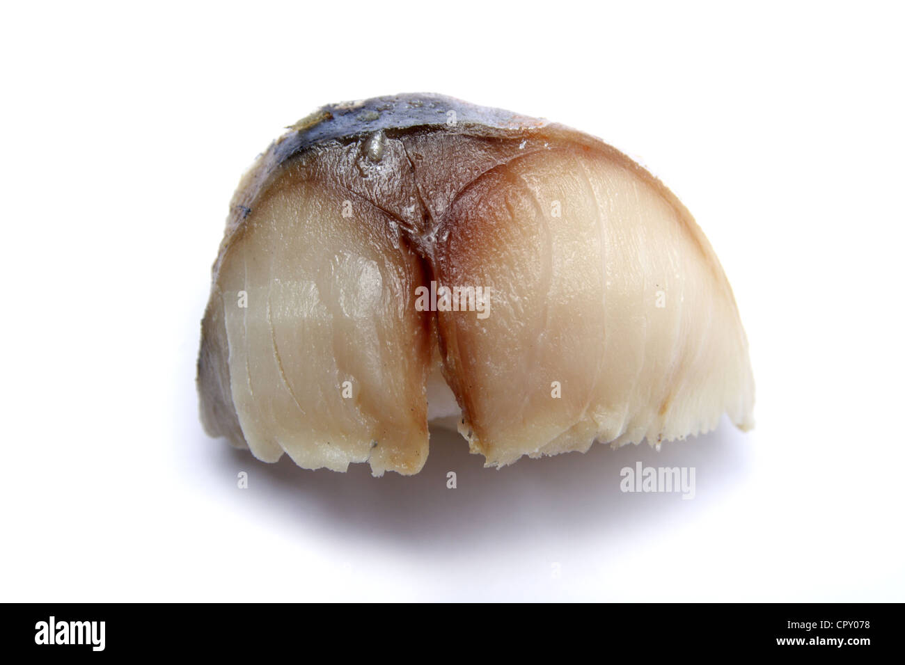 Saba Sushi 〚 Makrele 〛: Saba Fish For Sushi – RTXR