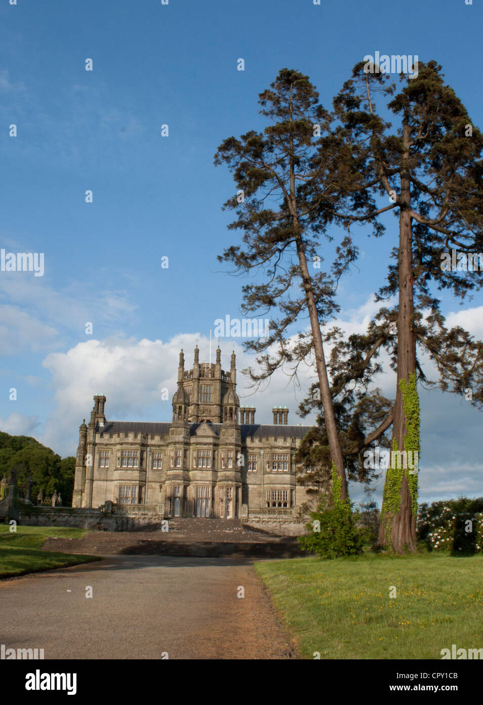 Trees Margam Park Estate and House Stock Photo Alamy