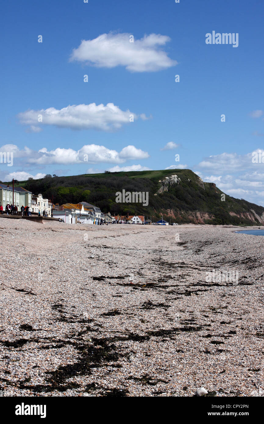 SEATON BEACH EAST DEVON. UK Stock Photo Alamy