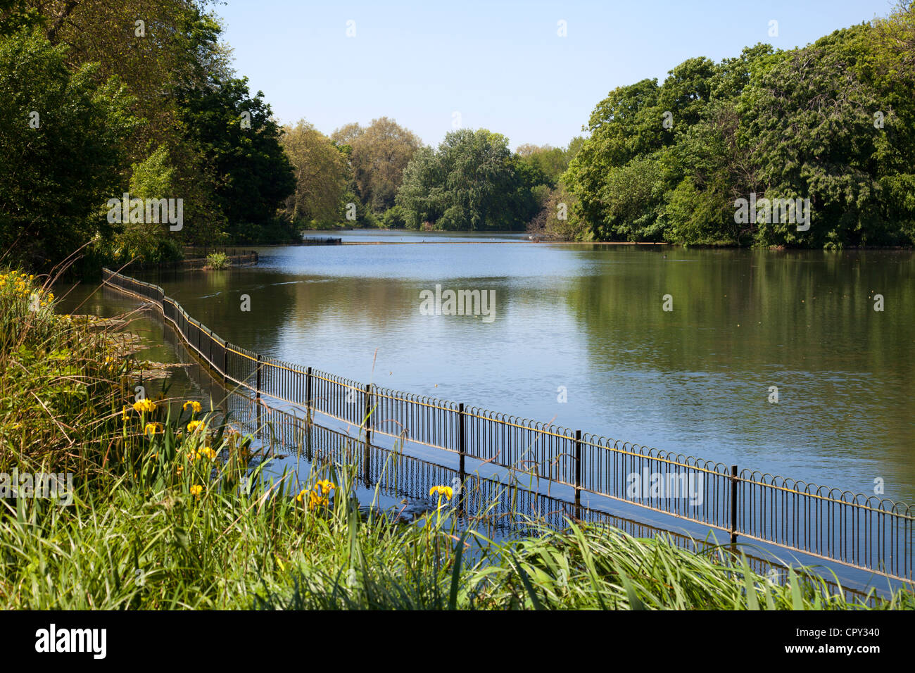 Battersea Park Pond - London - UK Stock Photo - Alamy