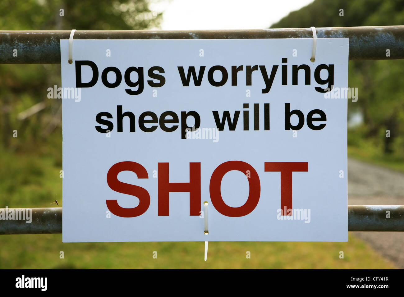 Sign warning that dogs who worry sheep - will be shot in the Scottish Highlands Stock Photo