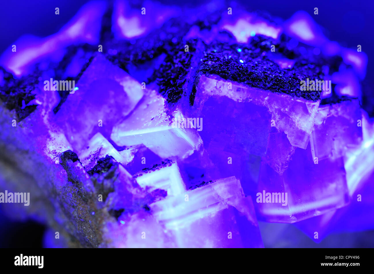 Fluorite (calcium fluoride) crystals fluorescing under ultraviolet light Stock Photo