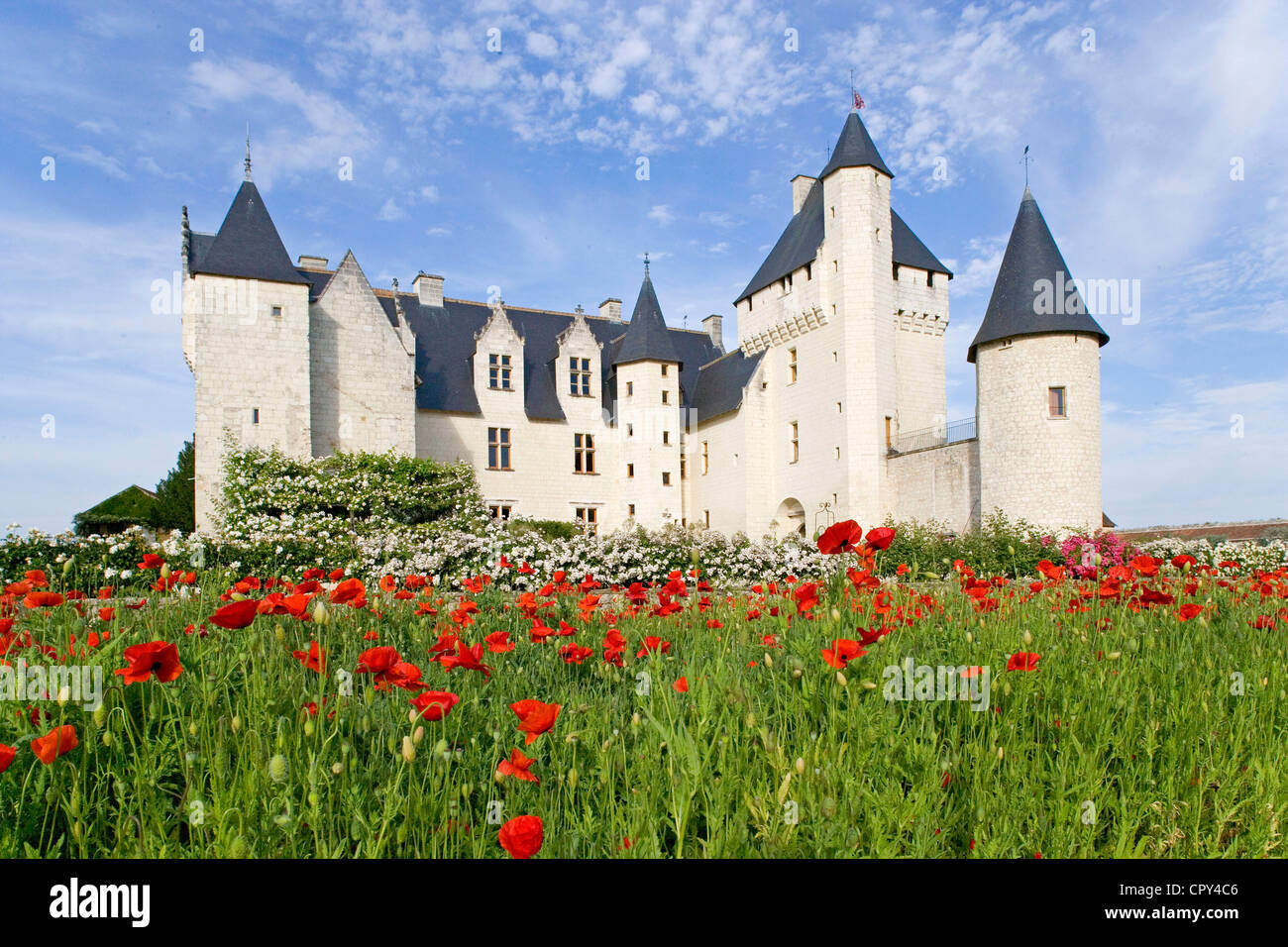 France, Indre et Loire, Lemere, historic Chateau du Rivau and gardens, property of Mrs Patricia and Mr Eric Laigneau Stock Photo