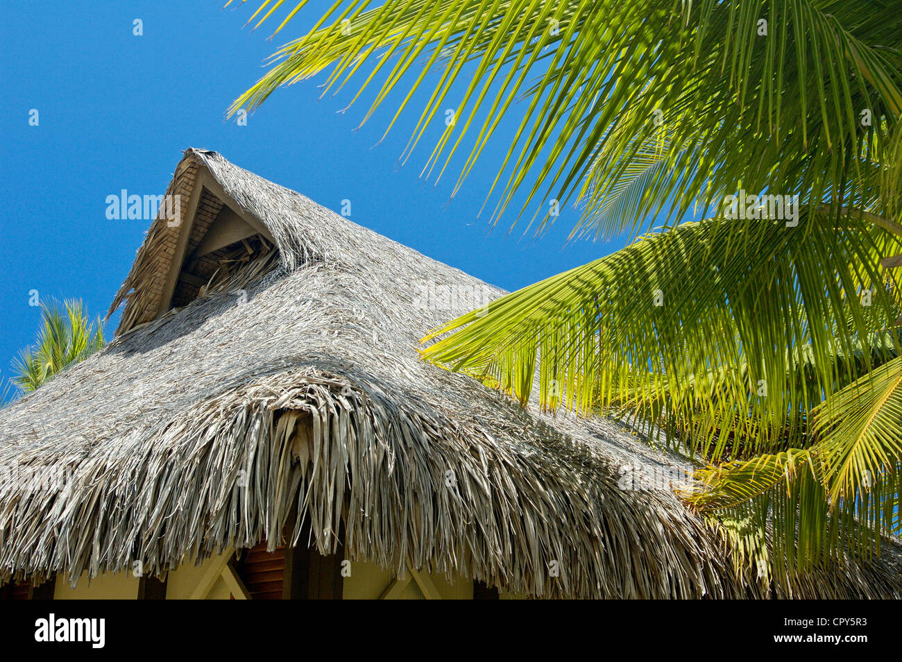 France, French Polynesia, Society Archipelago, Winward Islands, Tahiti island, Hotel Beachcomber Stock Photo