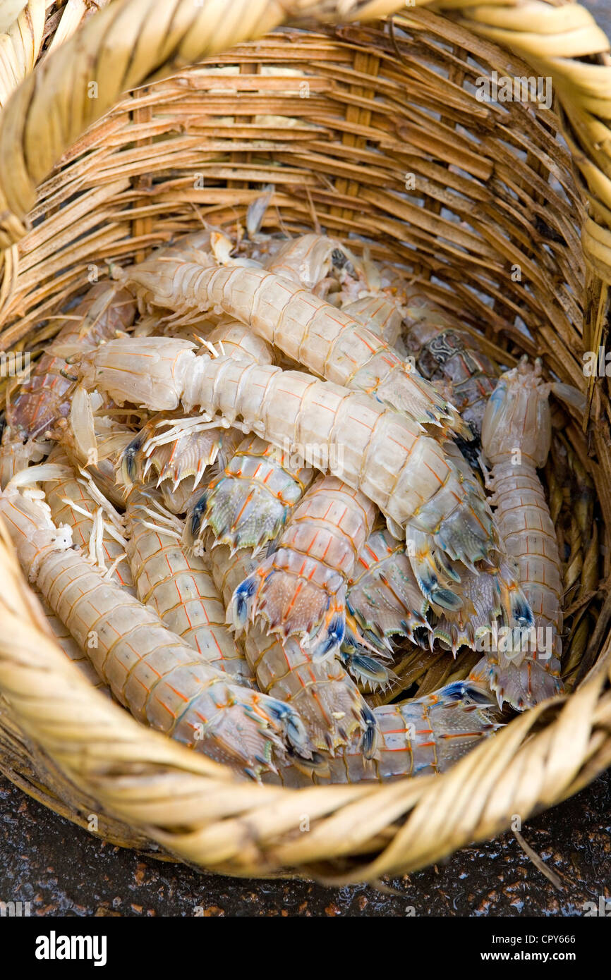 Egypt, Lower Egypt, the Mediterranean Coast, Alexandria, fish Market