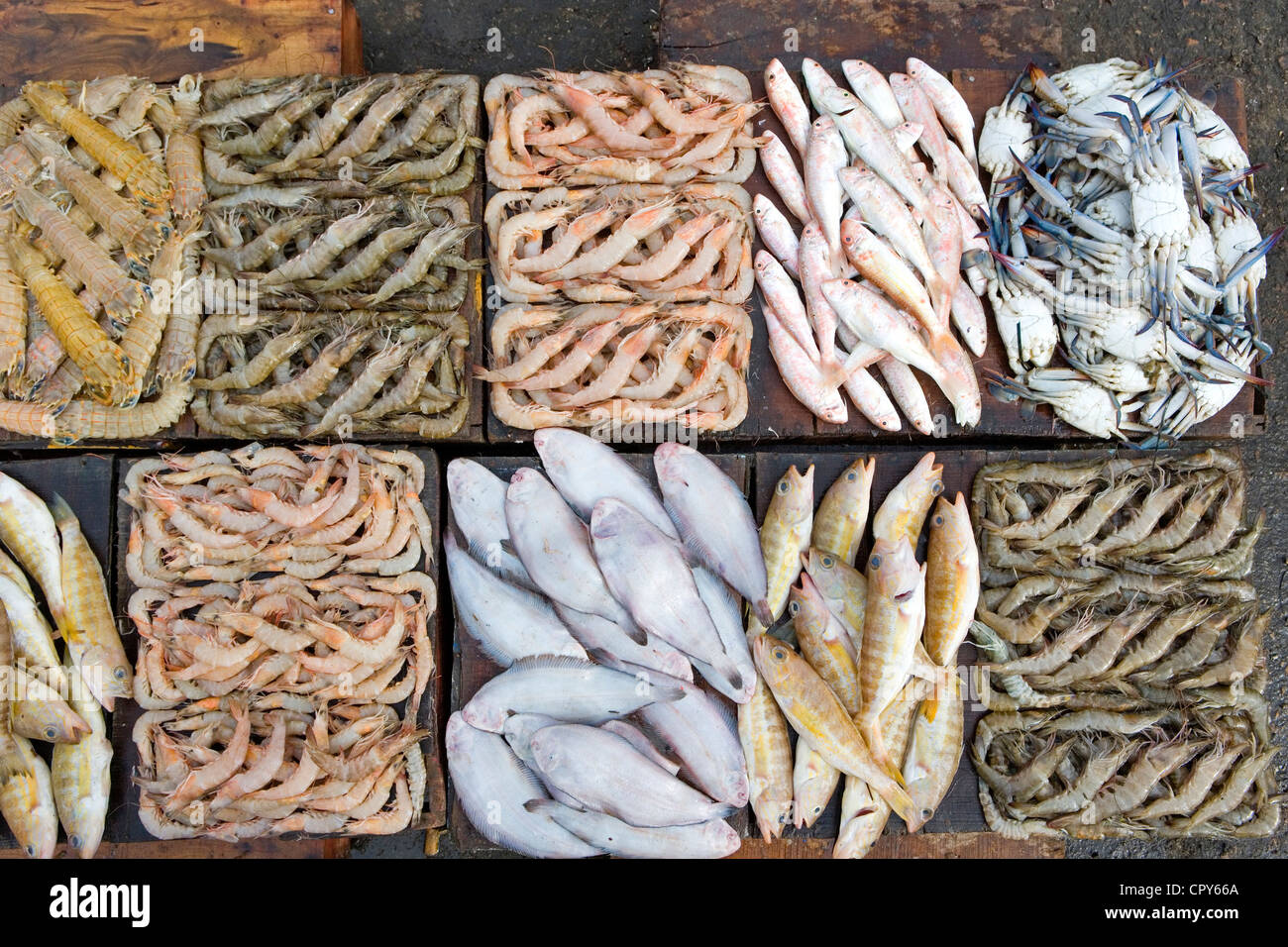 Mediterranean seafood haven near Alexandria