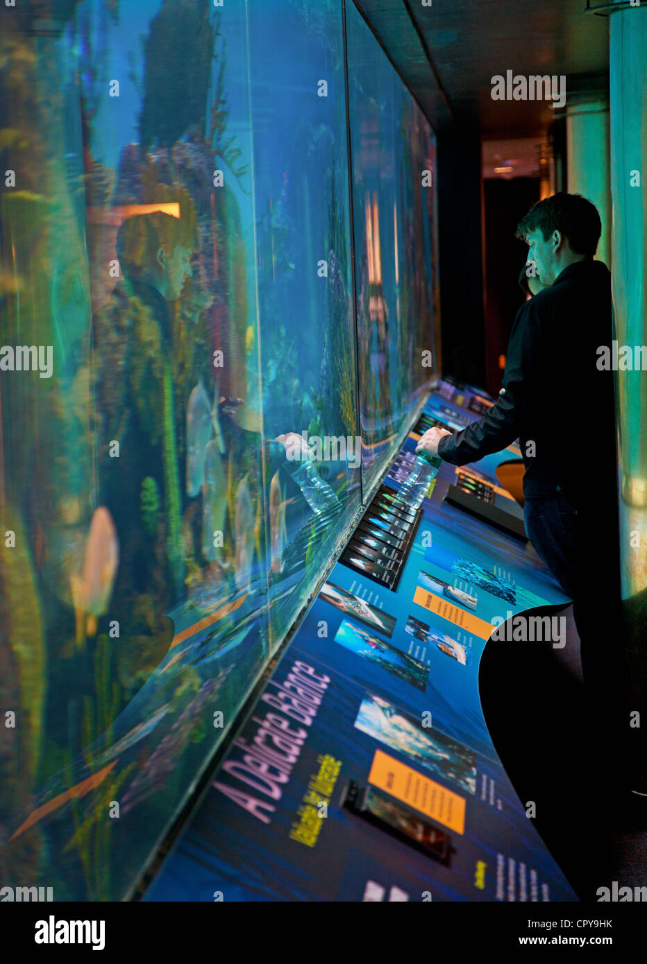 New York Aquarium in Brooklyn New York Stock Photo Alamy