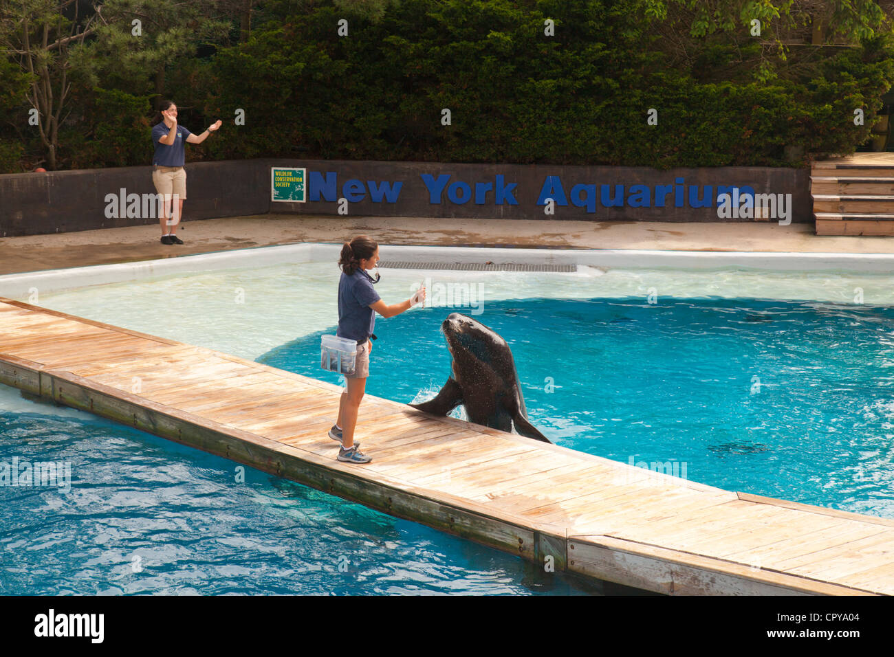 New York Aquarium in Brooklyn New York Stock Photo Alamy