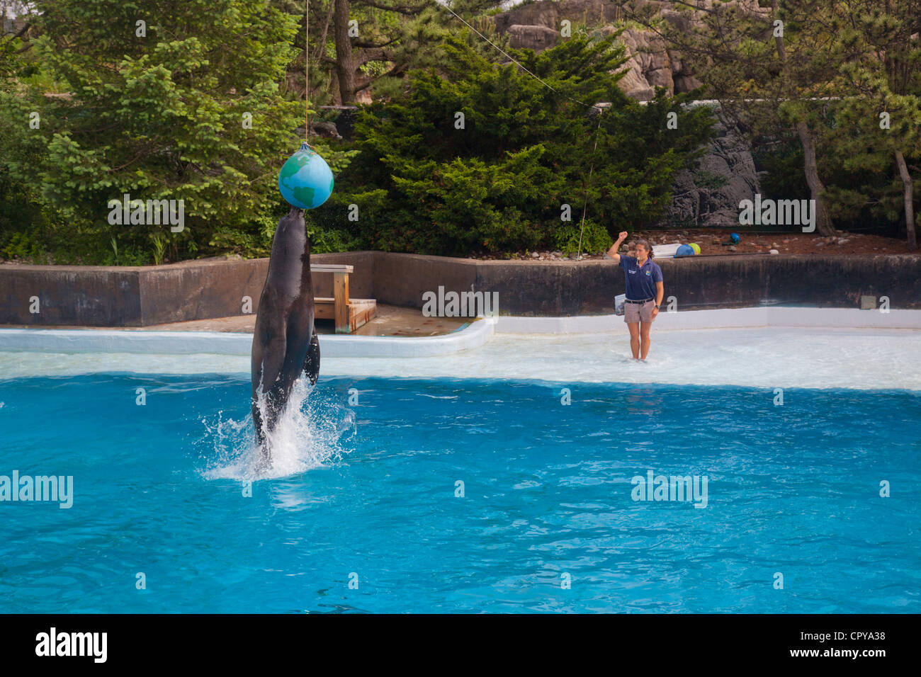 New York Aquarium in Brooklyn New York Stock Photo Alamy