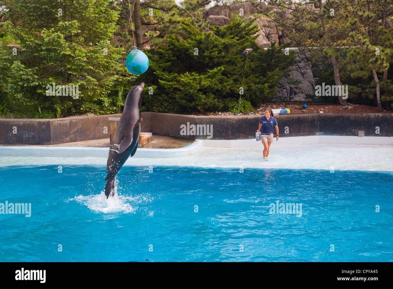 New York Aquarium in Brooklyn New York Stock Photo Alamy