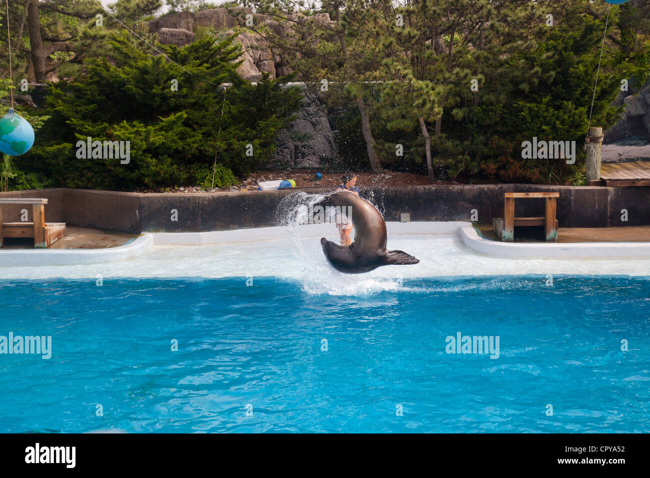 New York Aquarium in Brooklyn New York Stock Photo Alamy