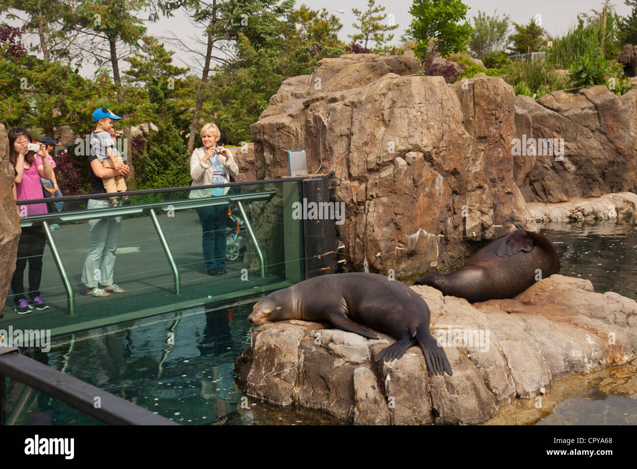 New York Aquarium in Brooklyn New York Stock Photo Alamy