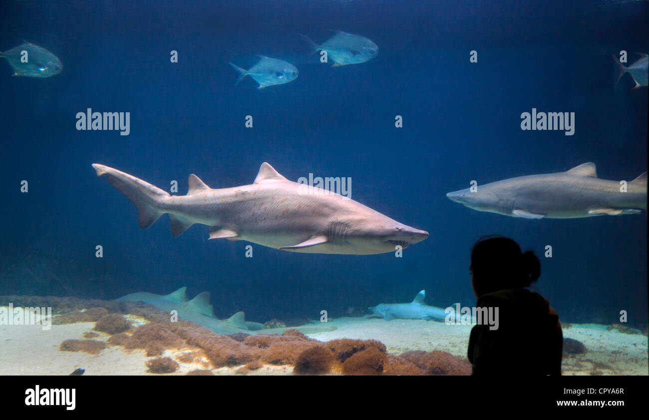 New York Aquarium in Brooklyn New York Stock Photo Alamy