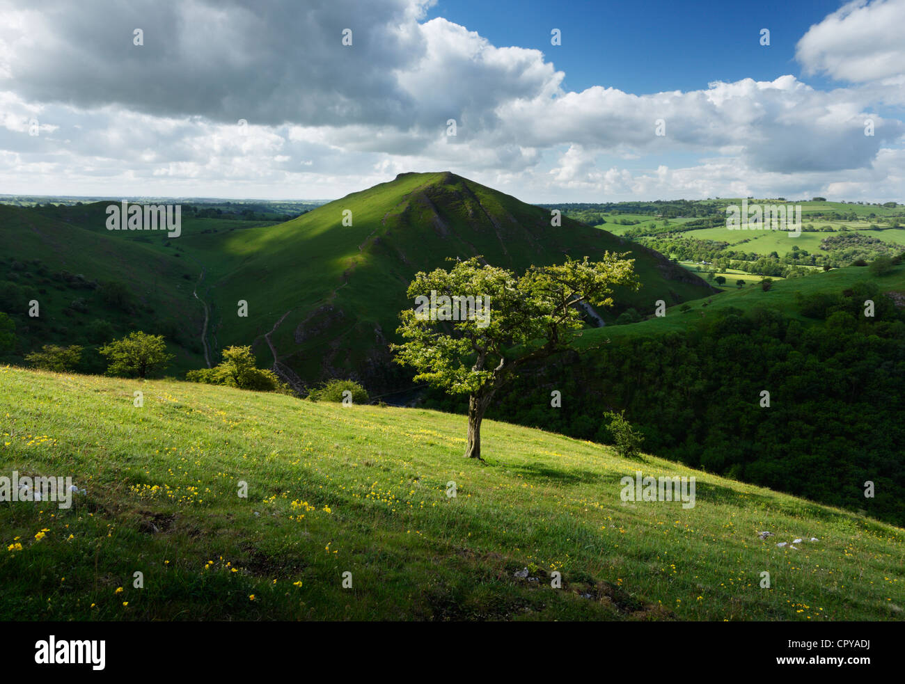 View towards Thorpe Cloud at Dovedale. Peak District National Park. Derbyshire. England. UK. Stock Photo