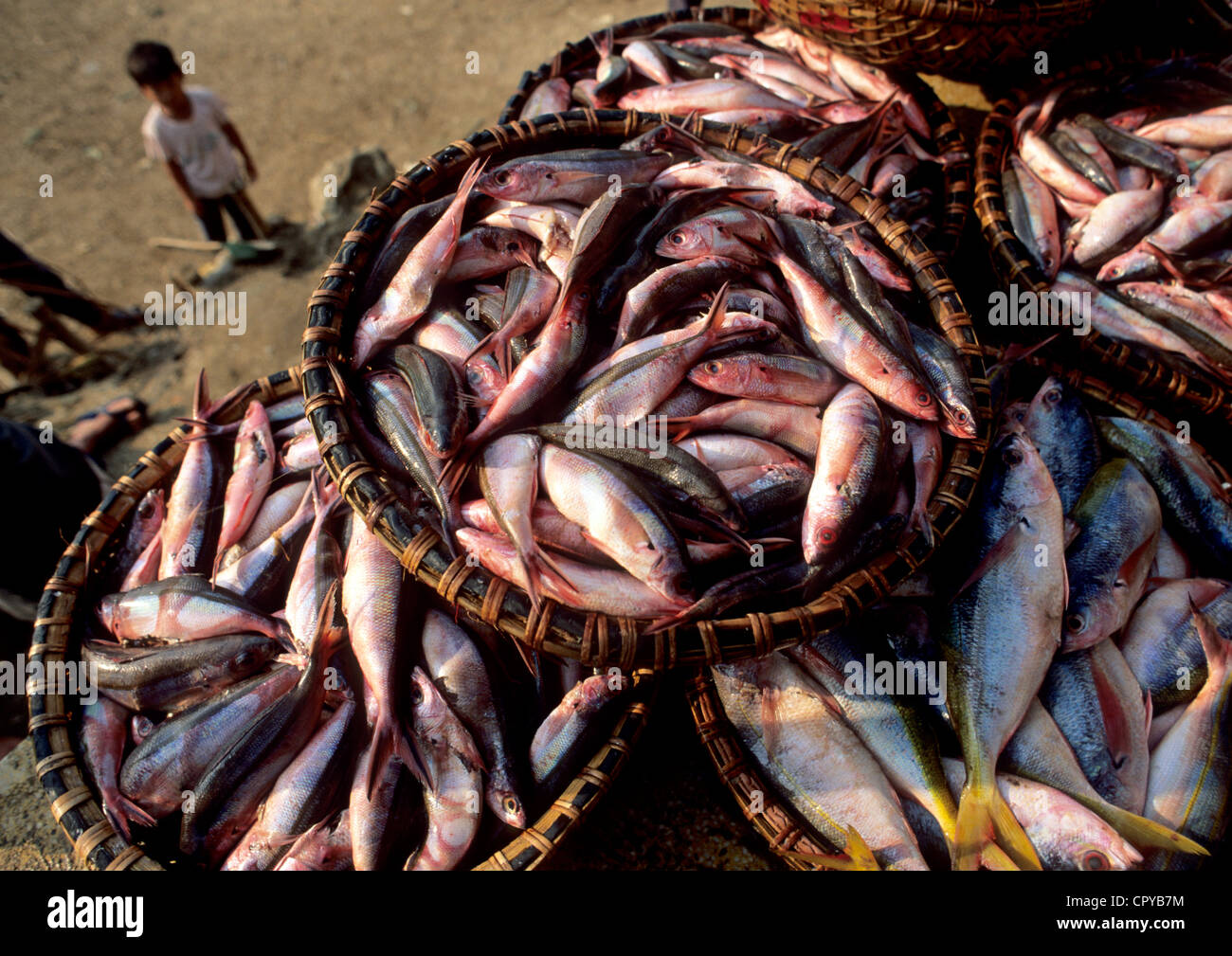 Vietnam, Thua Thien Hue Province, Hue, fish market Stock Photo