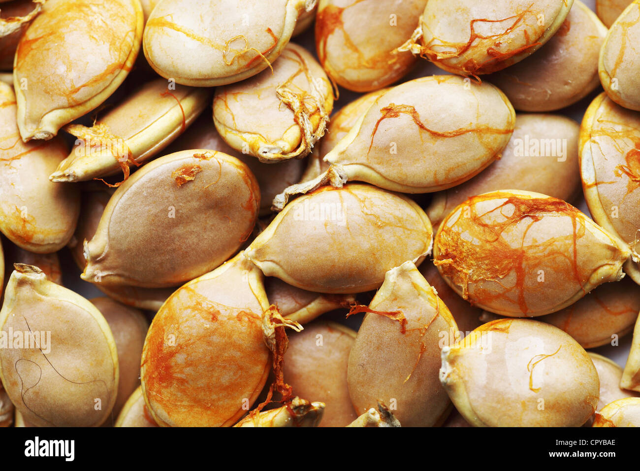 Roasted salty pumpkin seeds hi-res stock photography and images - Alamy