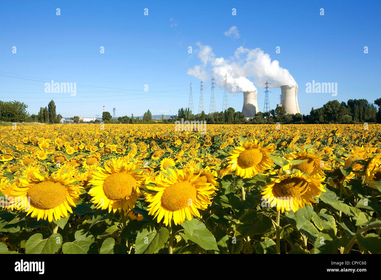 France, Vaucluse, Bollene, industrial site of Tricastin Stock Photo