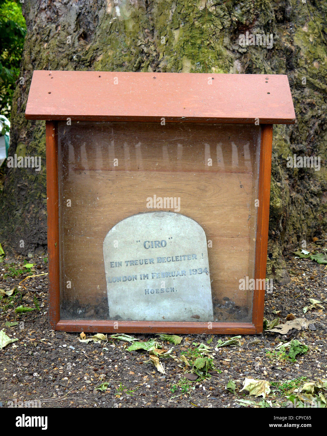 Giro the Nazi Dog is the only German Nazi memorial in London Stock