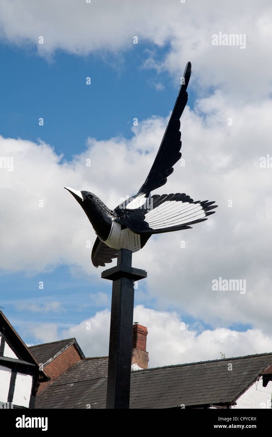 Magpie sculpture, Weobley Herefordshire Stock Photo Alamy