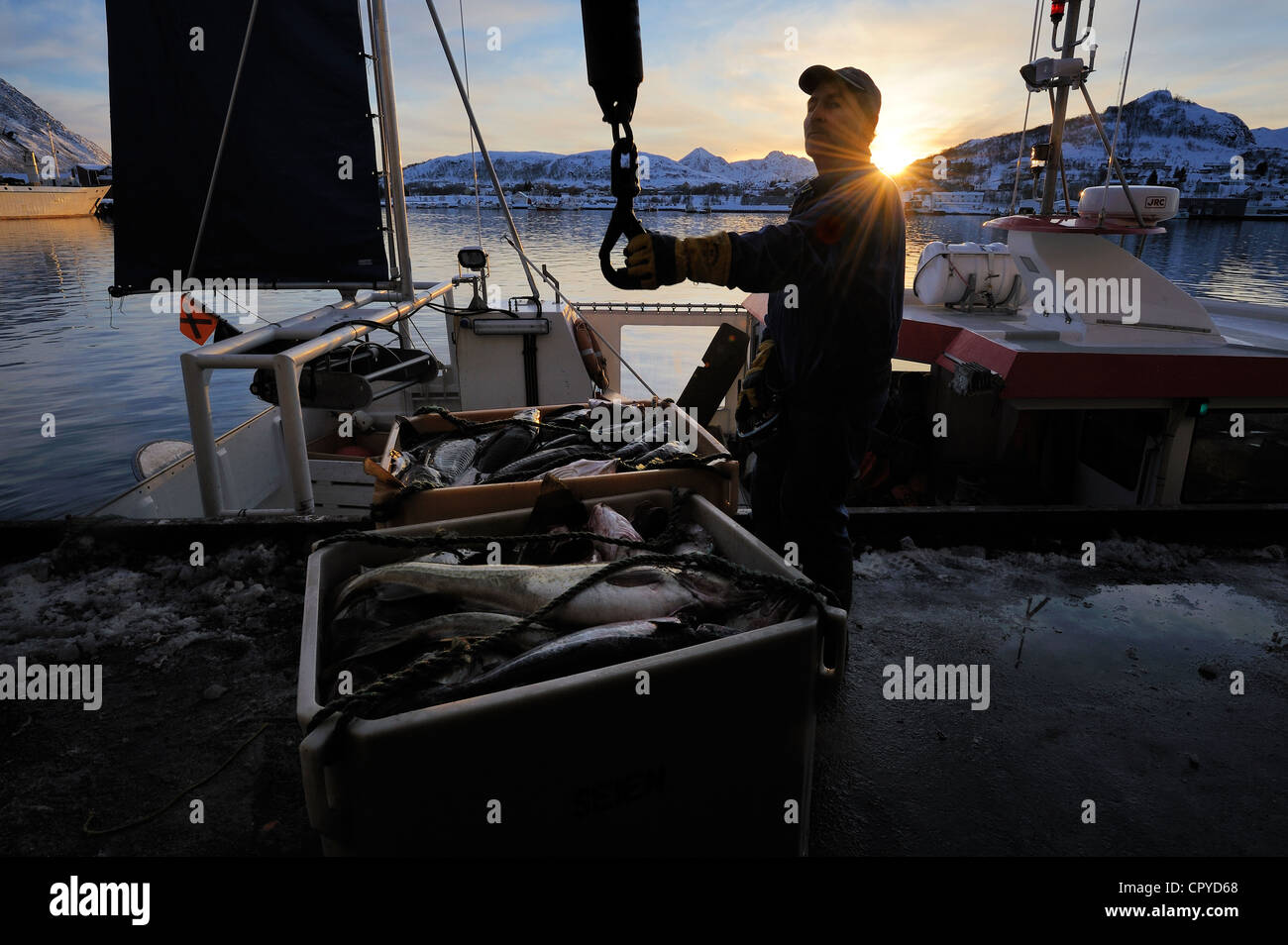 Norway, Nordland County, Vesteralen Islands, Myre harbour, unloading of ...
