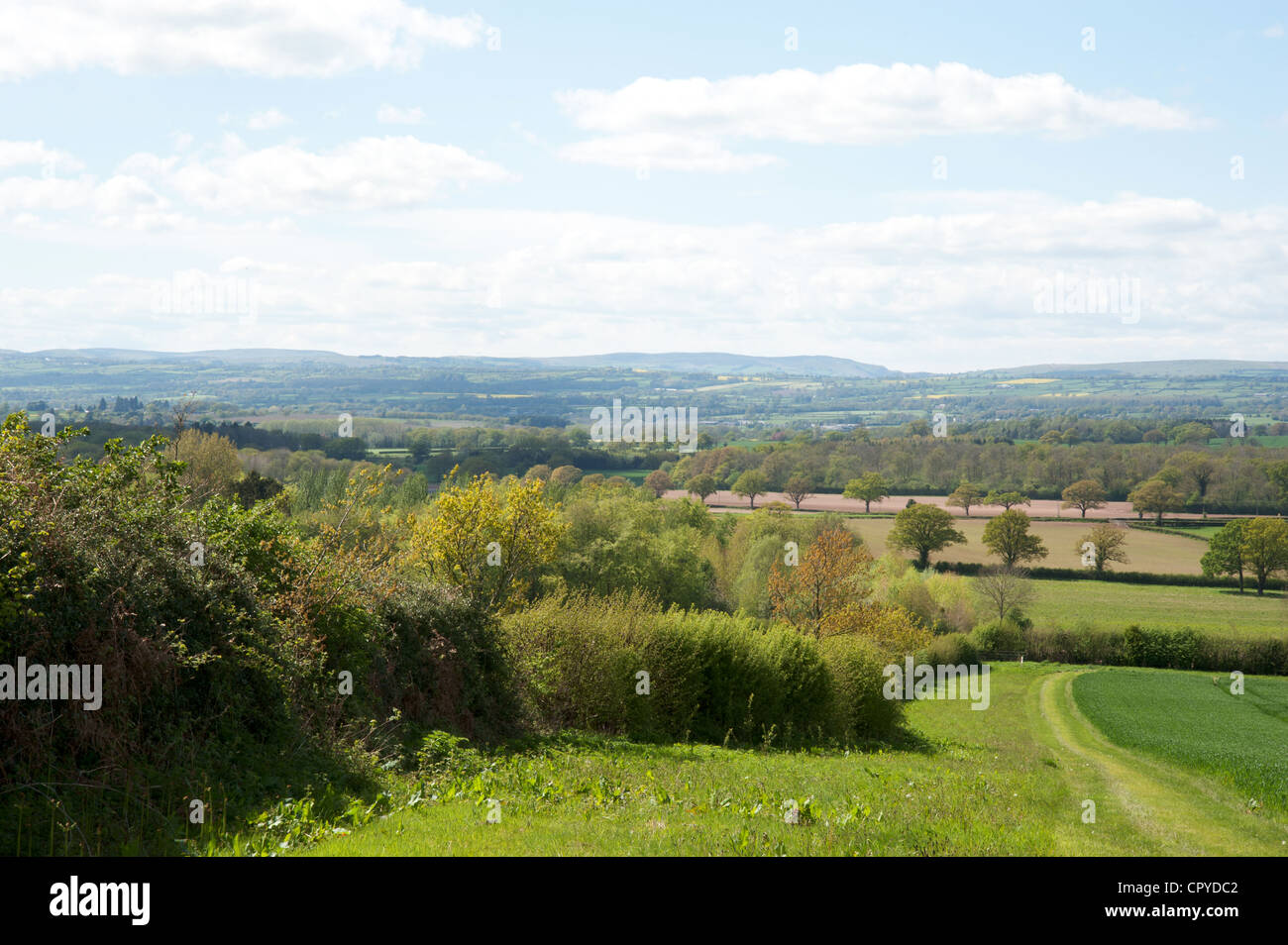 Rural countryside near Weobley, Herefordshire Stock Photo Alamy