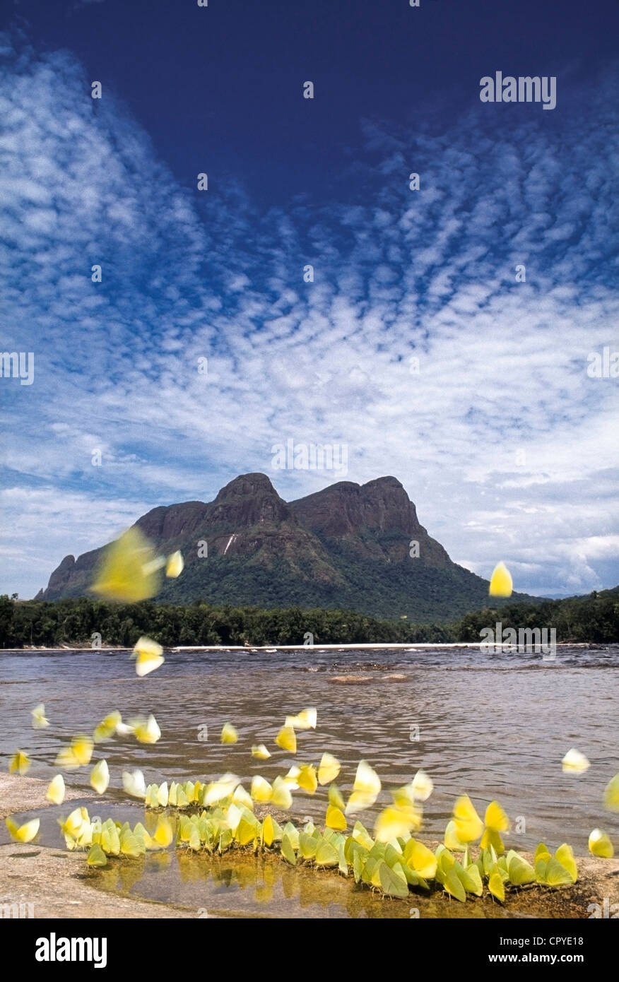 Can You Drink Sulphur Water at Amber Everton blog