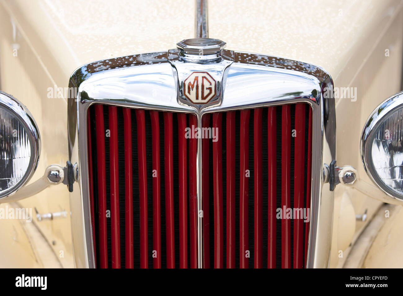 Badge Logo of MG car at classic car rally at Brize Norton in Oxfordshire, UK Stock Photo