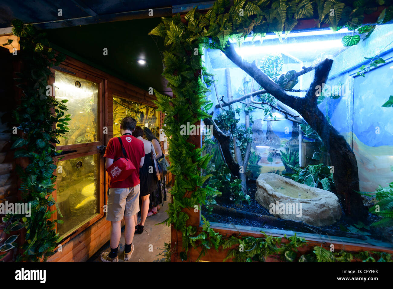 Five Sisters Zoo, Polbeth, Livingston, Scotland in reptile, nocturnal